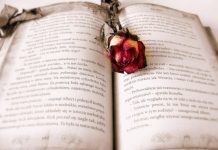 Cele mai tumultoase despartiri din literatura