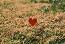 160 Citate Despre Iubire Imposibila Citate frumoase