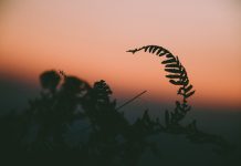 776 Citate Despre Viata – Cele Mai Inspirationale Si Frumoase Citate