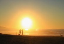 161 Citate Dragoste – Citate Celebre