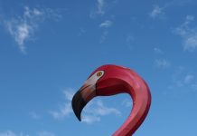 233 Citate Despre Oameni Falsi Citate scurte