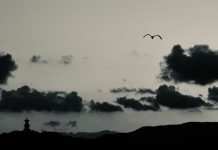 194 Citate Triste – Cele Mai Inspirationale Si Frumoase Citate