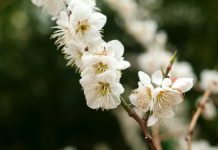 104 Mesaje De 1 Martie