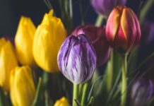 217 Mesaje De Florii