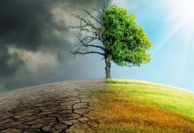 7 carti despre cauzele si efectele variate ale schimbarilor climatice