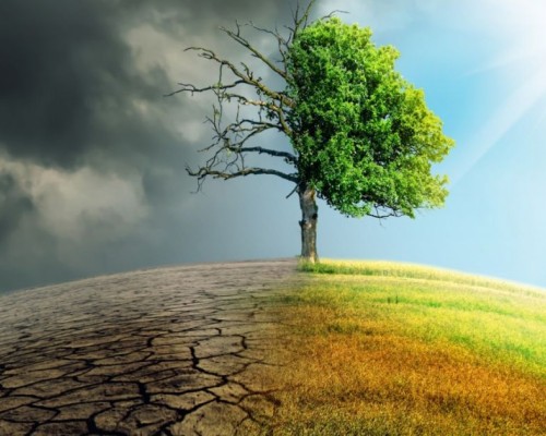 7 carti despre cauzele si efectele variate ale schimbarilor climatice
