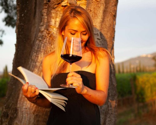 Cea mai educativa si distractiva carte pentru a afla despre vinuri