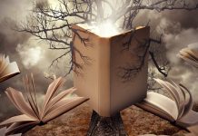 Cele mai bune carti de citit la 20 de ani