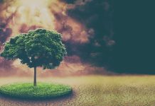 Top 8 carti pentru a intelege mai bine criza climatica