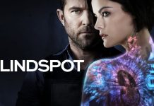 Cele mai bune 12 seriale similare cu Blindspot