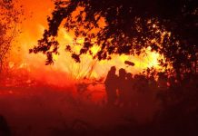 „Ce arde”, filmul care da foc festivalurilor: „Focul ne aminteste cat de mici suntem”