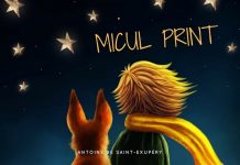 Recenzie – „Micul Print”, de Antoine de Saint-Exupery