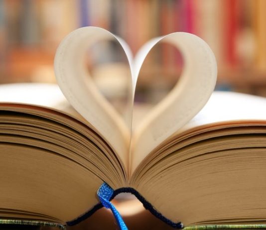 O aparare a fictiunii romantice