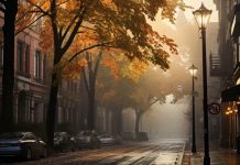 Descoperiti cele mai bune 10 carti dramatice de citit acum