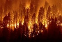 Nu căuta prea multă stabilitate