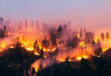 De ce ar trebui sa invatam sa traim cu problemele noastre