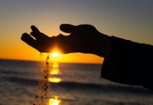 Ceasuri biologice: de unde stie corpul nostru ca trece timpul?