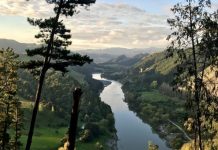 Copacii, raurile si muntii castiga statut legal