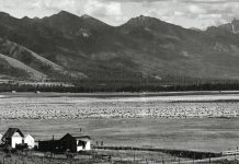 Recenzie: „Femei singuratice”, de Victor LaValle