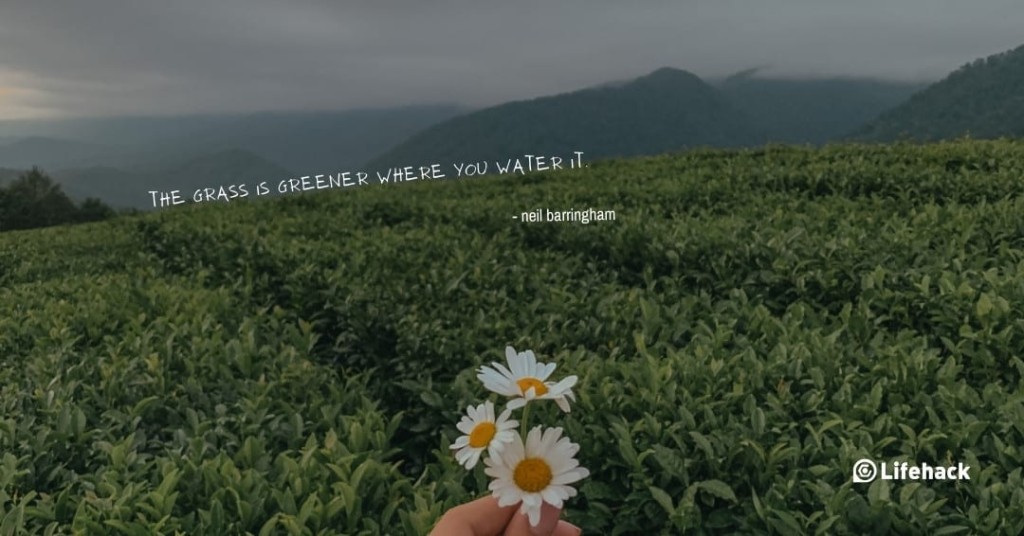 30 cele mai inspirate citate din toate timpurile