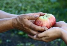 10 strategii pentru a practica genorozitatea