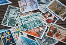 Cum îți construiești o colecție ce spune o poveste, nu doar umple rafturi