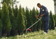 Fir motocoasă: ce contează cu adevărat atunci când alegi varianta potrivită